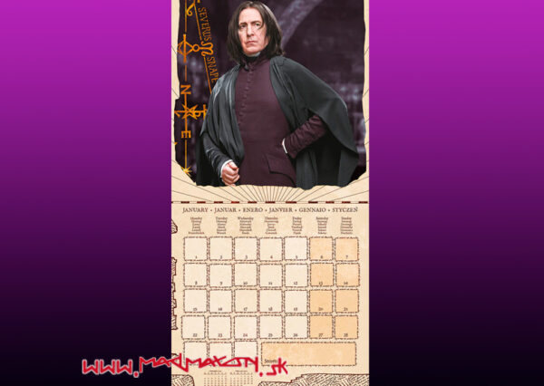 Calendrier Harry Potter (2024) Magical Fundations 30 x 30 cm